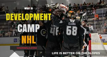 Understanding NHL Development Camp: Purpose, Process, and Player Benefits