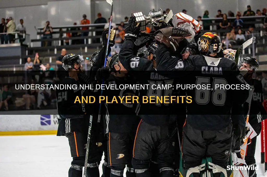 what is development camp nhl