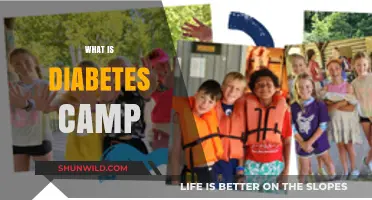 Discovering Diabetes Camp: Empowering Kids Through Education and Adventure
