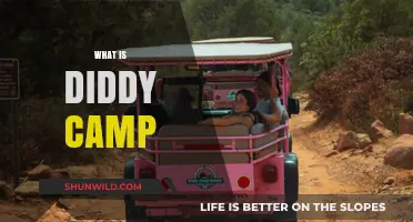 Unveiling Diddy Camp: A Unique Adventure Experience Explained