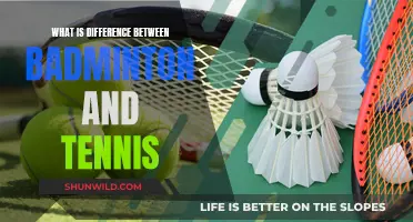 Badminton vs Tennis: What's the Main Difference?