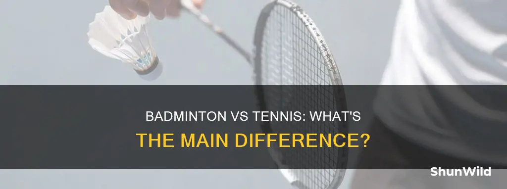what is difference between badminton and tennis