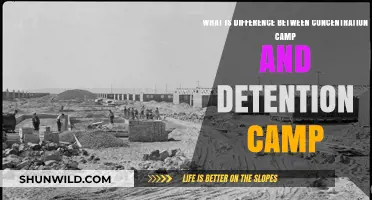 Concentration vs. Detention Camps: Understanding the Key Differences