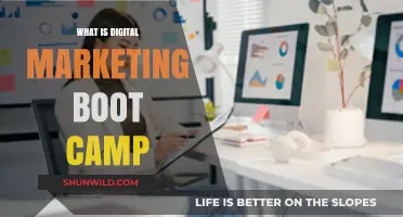 Unlock Digital Marketing Skills: What is a Boot Camp?