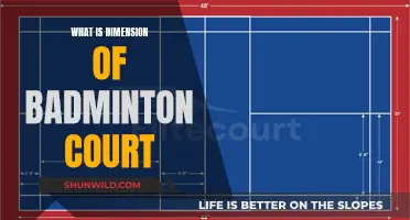 Badminton Court Dimensions: Understanding the Playing Area