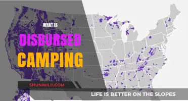 Understanding Disbursed Camping: A Beginner's Guide to Off-Grid Adventures