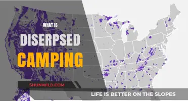 Exploring Dispersed Camping: A Beginner's Guide to Off-Grid Adventures