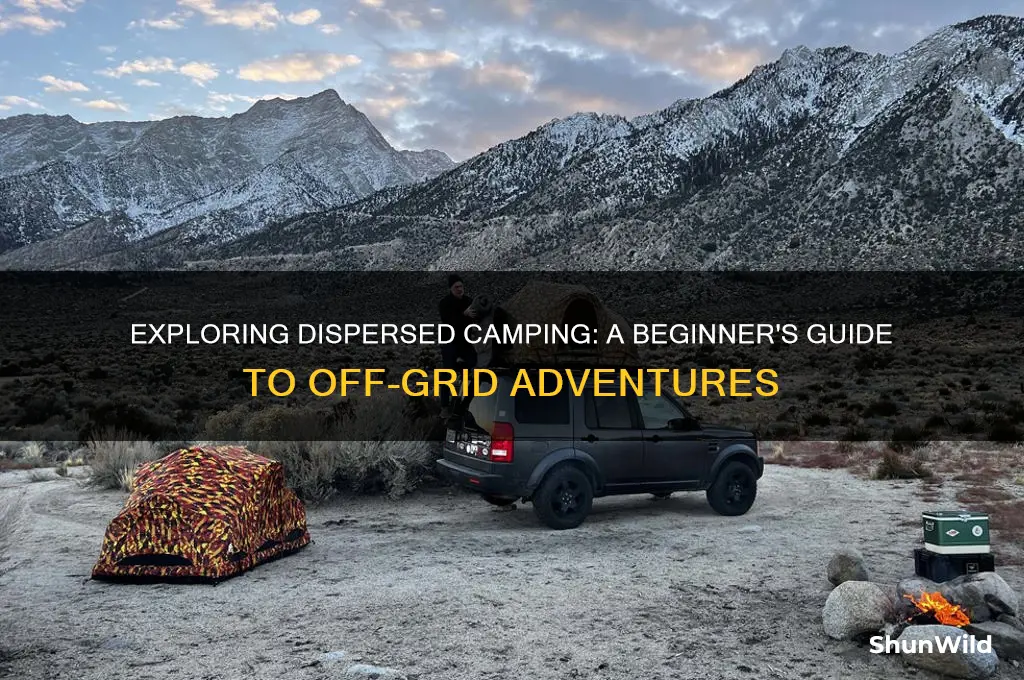 what is diserpsed camping