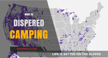 Exploring Dispersed Camping: A Beginner's Guide to Off-Grid Adventures