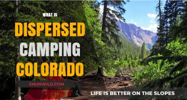 Exploring Dispersed Camping in Colorado: Tips, Rules, and Best Spots