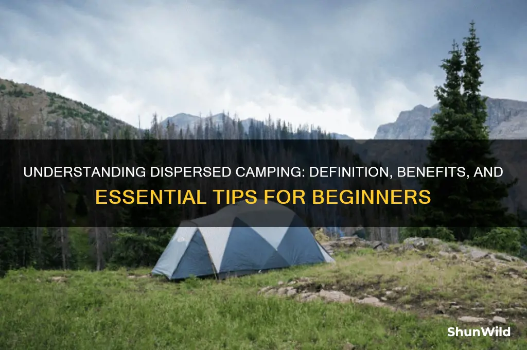 what is dispersed camping definition