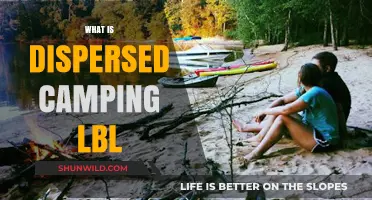 Exploring Dispersed Camping in LBL: A Beginner's Guide to Adventure