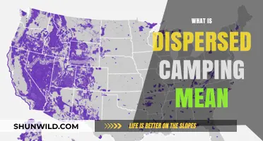 Understanding Dispersed Camping: A Beginner's Guide to Off-Grid Adventures
