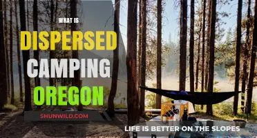 Discover Dispersed Camping in Oregon: Tips, Rules, and Top Spots
