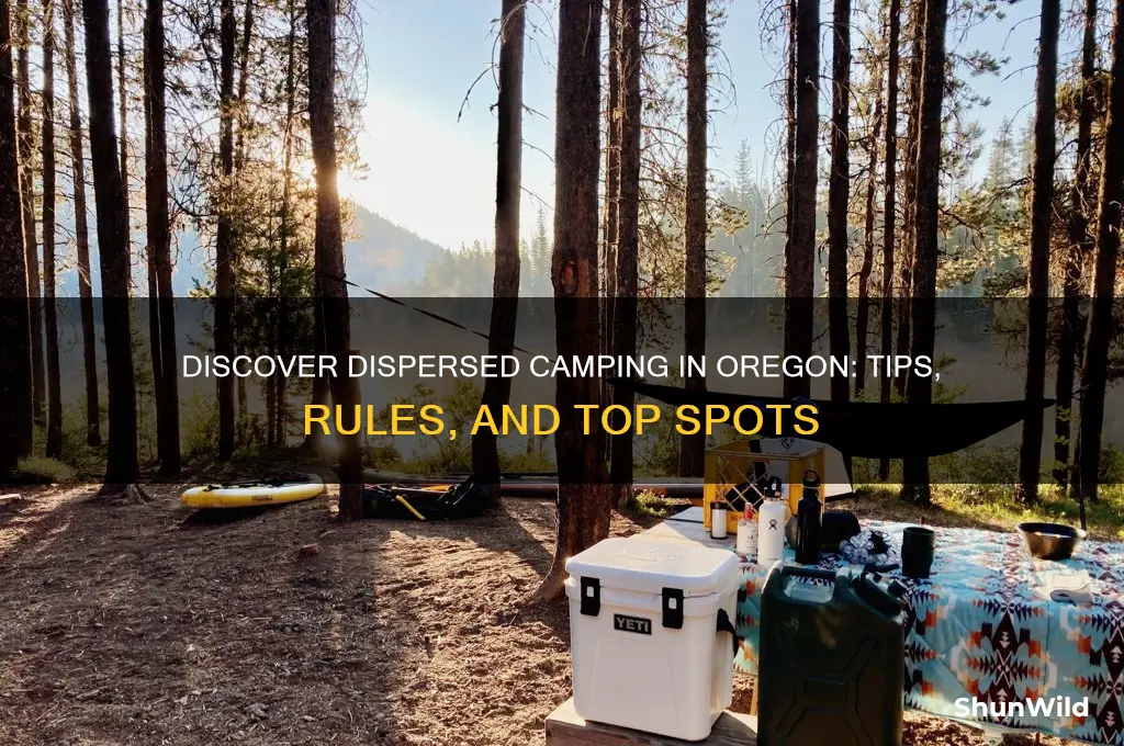 what is dispersed camping oregon