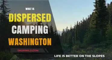 Exploring Dispersed Camping in Washington: Tips, Rules, and Best Spots