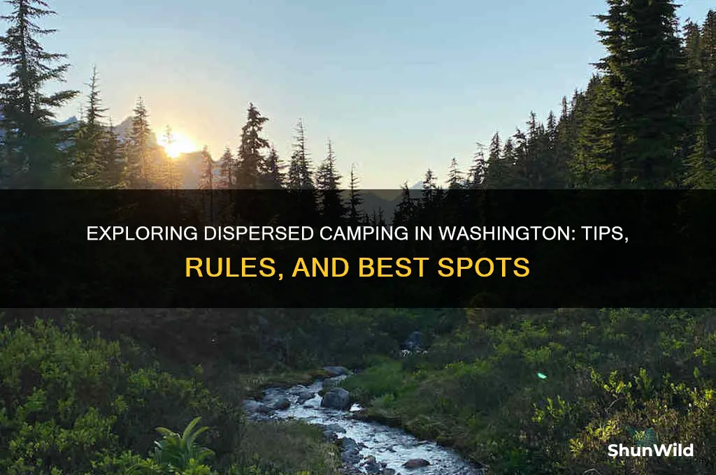 what is dispersed camping washington