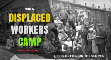 Understanding Displaced Workers Camps: Purpose, Challenges, and Support Systems