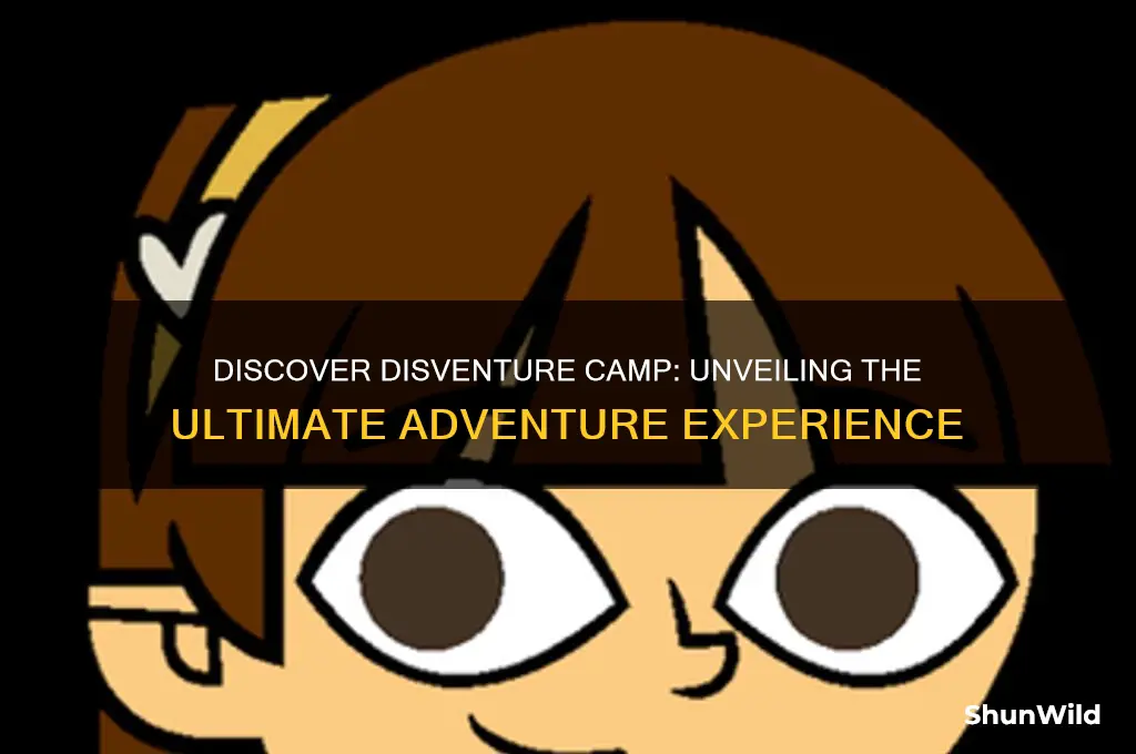 what is disventure camp on