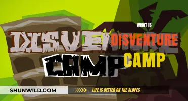 Discover Disventure Camp: An Adventure-Filled Learning Experience for Youth