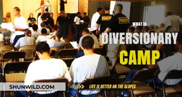 Understanding Diversionary Camps: Purpose, Benefits, and Impact on Youth