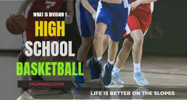 Understanding the Competitive World of Division 1 High School Basketball