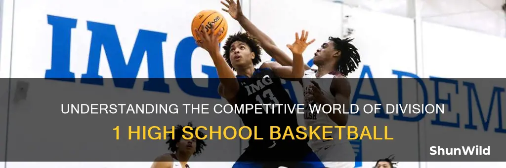 what is division 1 high school basketball