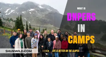 Understanding DNPERS: Essential Role and Impact in Camp Management