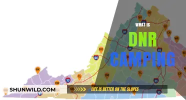 Understanding DNR Camping: A Beginner's Guide to Dispersed Outdoor Adventures