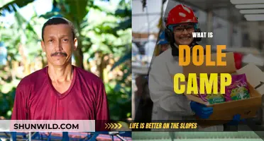 Exploring Dole Camp: History, Purpose, and Impact on Workers