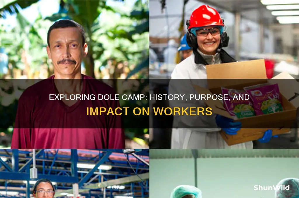 what is dole camp