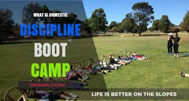 Understanding Domestic Discipline Boot Camp: Purpose, Practices, and Controversies