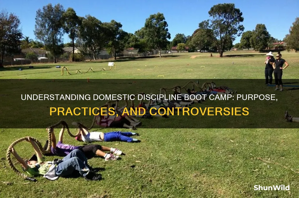 what is domestic discipline boot camp