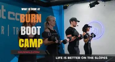 Burn Boot Camp Explained: Workouts, Benefits, and What to Expect