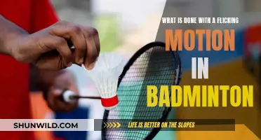 Flicking Motion Techniques in Badminton