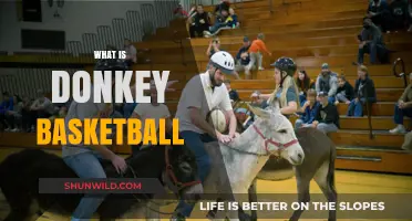Donkey Basketball: A Fun Sport with a Twist