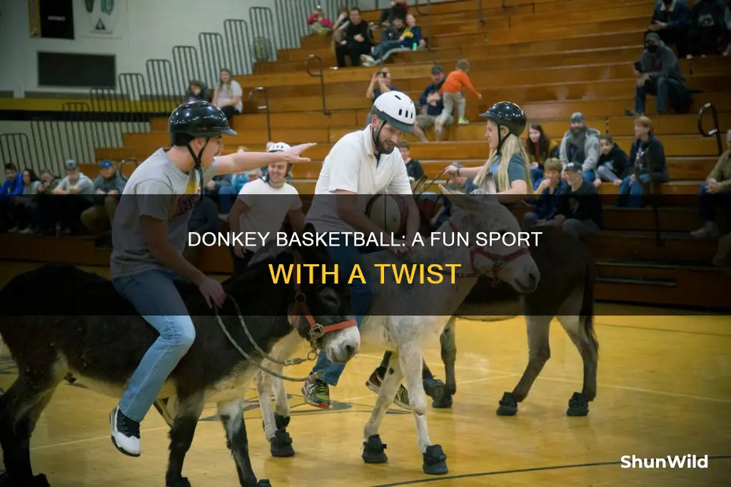 what is donkey basketball