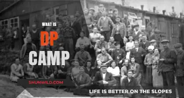 Understanding DP Camps: History, Purpose, and Impact Explained