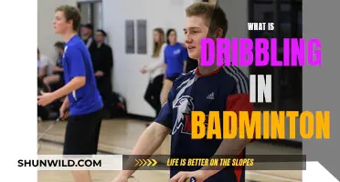 Dribbling in Badminton: A Smart Tactical Move
