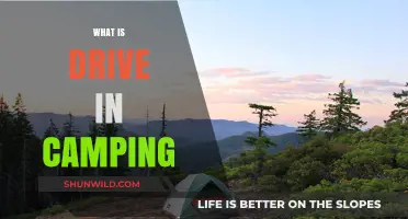 Exploring the Great Outdoors: What is Drive-In Camping?