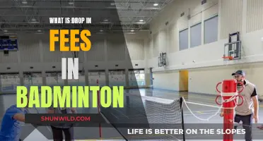 Badminton Drop-in Fees: What, Why, and How?