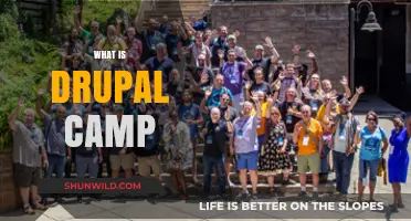 Understanding Drupal Camp: Community, Learning, and Collaboration Explained