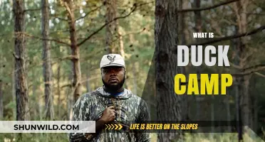 Discover the Adventure: What is Duck Camp and Why It Matters