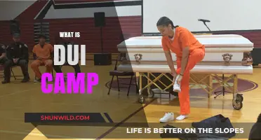 Understanding DUI Camp: A Comprehensive Guide to Rehabilitation Programs
