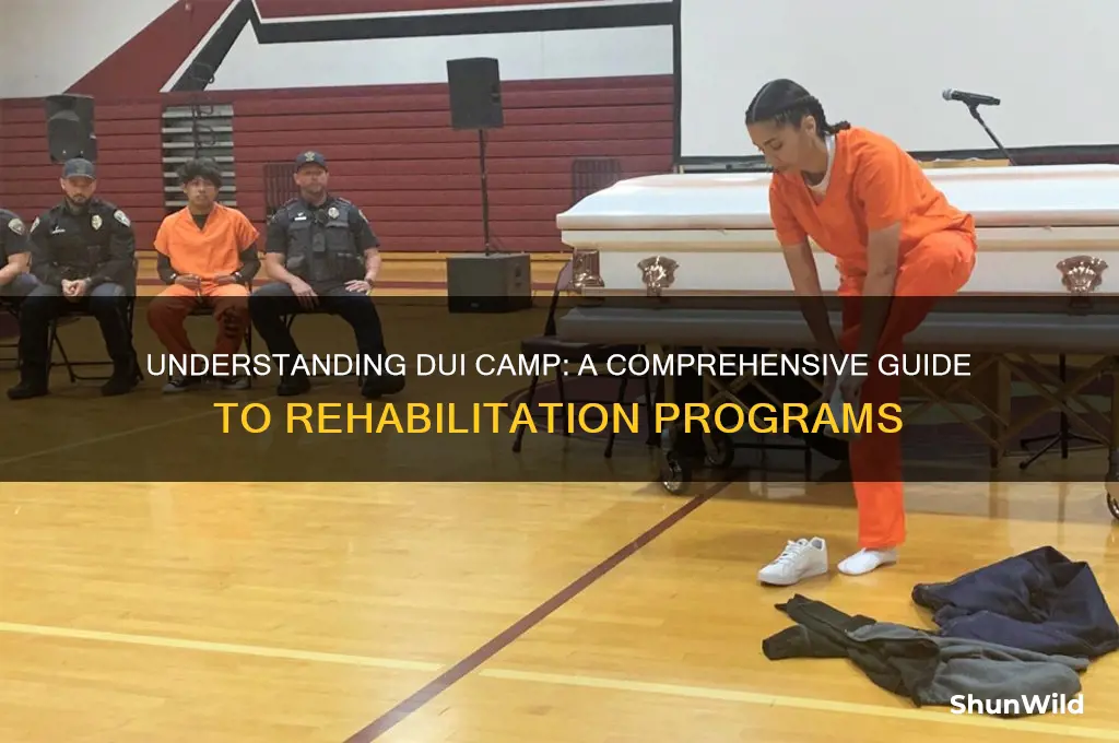 what is dui camp