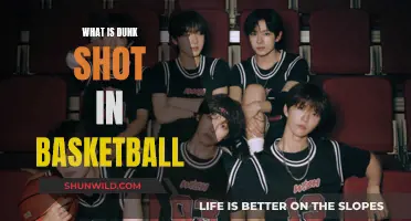 Dunk Shots: Basketball's High-Flying Art
