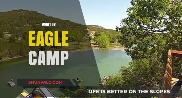 Discover Eagle Camp: Adventure, Learning, and Growth in the Wild