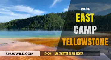 Exploring East Camp Yellowstone: History, Features, and Visitor Tips