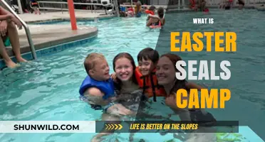 Discover Easter Seals Camp: Empowering Abilities, Creating Lasting Memories