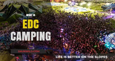 Exploring EDC Camping: Ultimate Guide to Festival Camping Experience